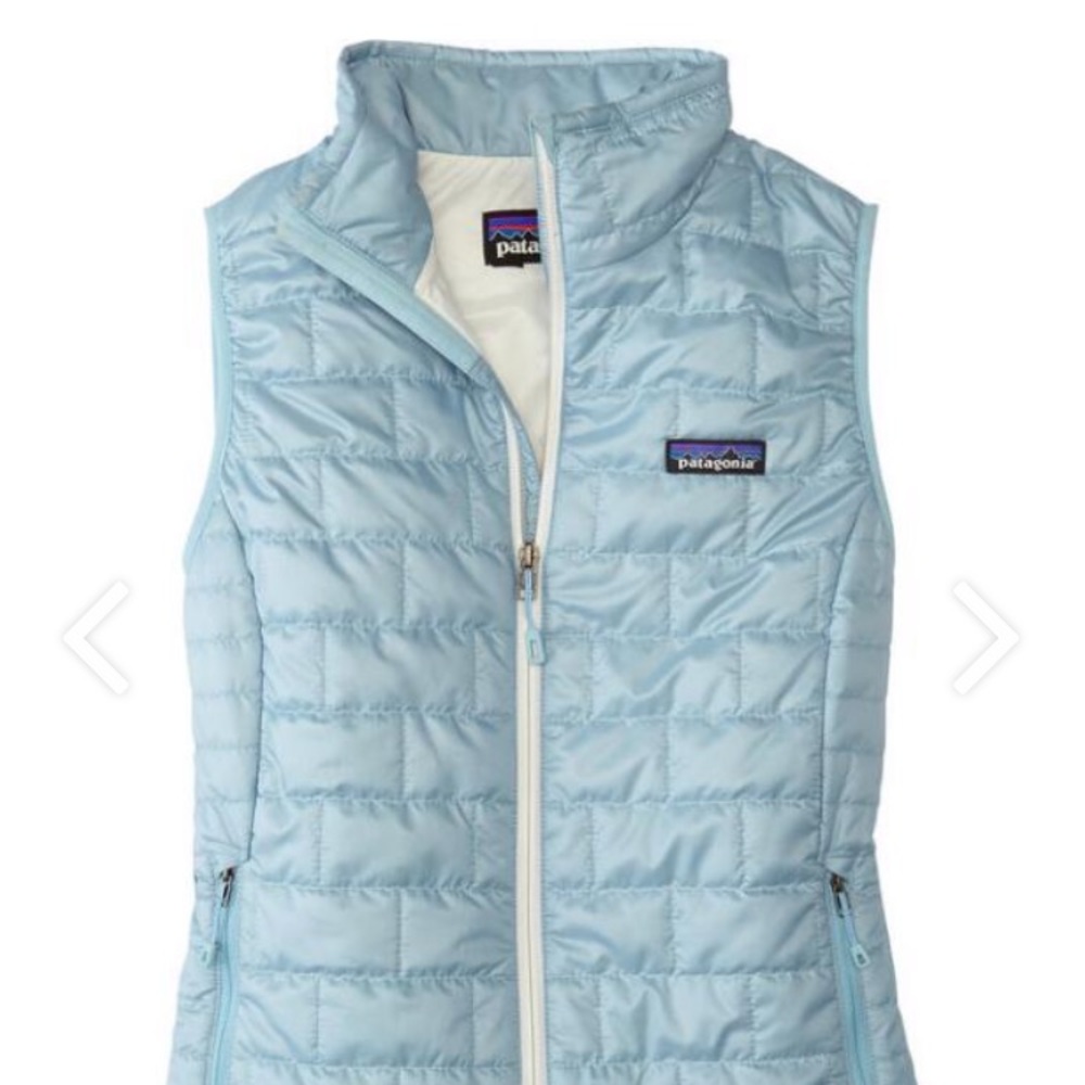 Patagonia insulted Puffer Vest